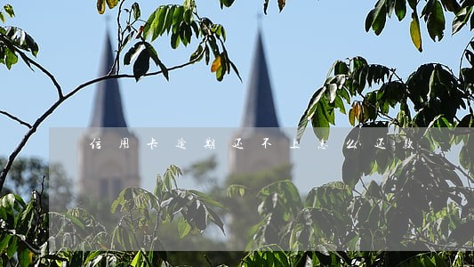信用卡逾期还不上怎么还款