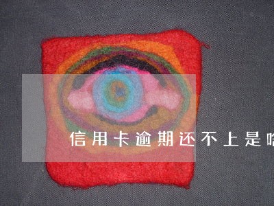 信用卡逾期还不上是啥结果 信用卡逾期还不上是啥结果