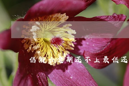 信用卡逾期还不上最低还款 信用卡逾期还不上最低还款