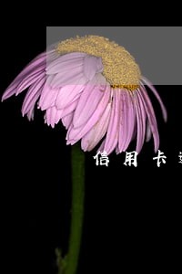 信用卡逾期还不上最坏结果 信用卡逾期还不上最坏结果