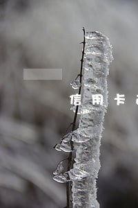 信用卡逾期还不上款 信用卡逾期还不上款