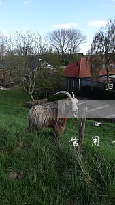 信用卡逾期还不上法院传票来了 信用卡逾期还不上法院传票来了