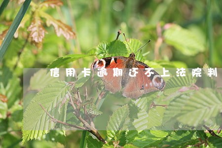 信用卡逾期还不上法院判刑吗 信用卡逾期还不上法院判刑吗