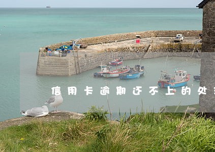 信用卡逾期还不上的处理办法