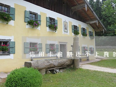 信用卡逾期还不上真的会坐牢吗 信用卡逾期还不上真的会坐牢吗