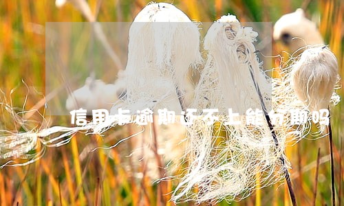 信用卡逾期还不上能分期吗