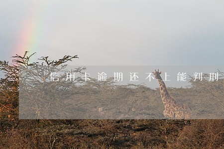 信用卡逾期还不上能判刑吗 信用卡逾期还不上能判刑吗