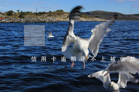 信用卡逾期还不上被催款怎么办 信用卡逾期还不上被催款怎么办