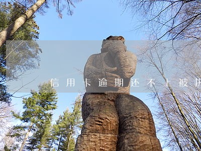 信用卡逾期还不上被执行会怎么样