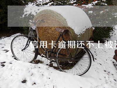 信用卡逾期还不上被法院起诉 信用卡逾期还不上被法院起诉