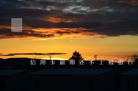 信用卡逾期还不上被银行催收怎么办 信用卡逾期还不上被银行催收怎么办