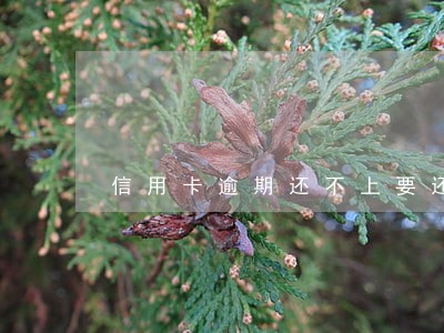 信用卡逾期还不上要还钱吗 信用卡逾期还不上要还钱吗