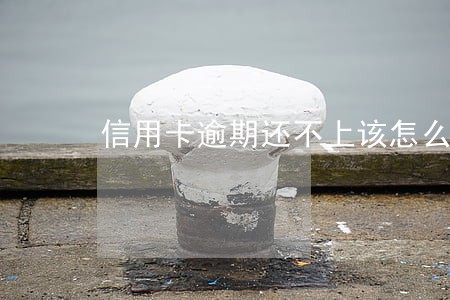 信用卡逾期还不上该怎么办 信用卡逾期还不上该怎么办