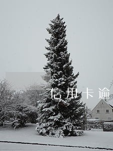 信用卡逾期还不上账单 信用卡逾期还不上账单
