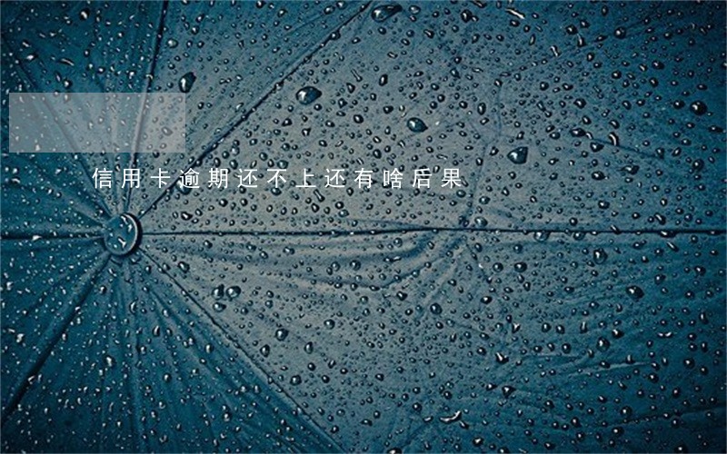 信用卡逾期还不上还有啥后果 信用卡逾期还不上还有啥后果