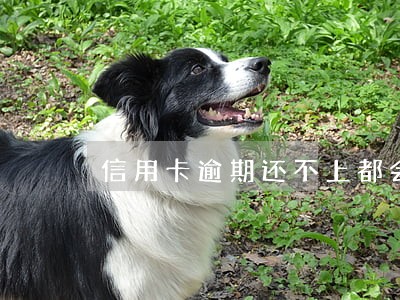 信用卡逾期还不上都会起诉吗 信用卡逾期还不上都会起诉吗