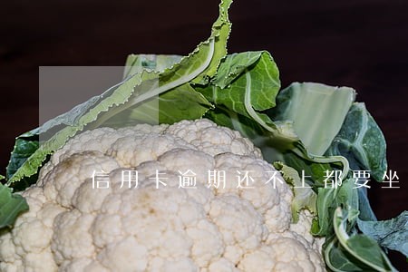 信用卡逾期还不上都要坐牢吗