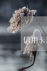 信用卡逾期还不上钱怎么跑路 信用卡逾期还不上钱怎么跑路