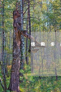 信用卡逾期还不上钱还能追回吗 信用卡逾期还不上钱还能追回吗