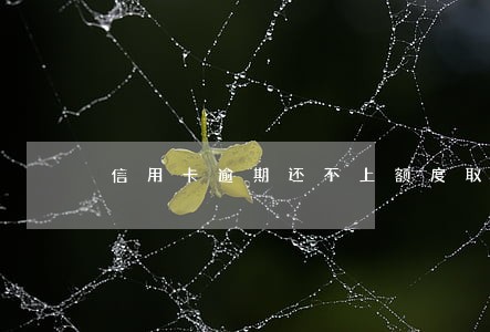 信用卡逾期还不上额度取消了 信用卡逾期还不上额度取消了
