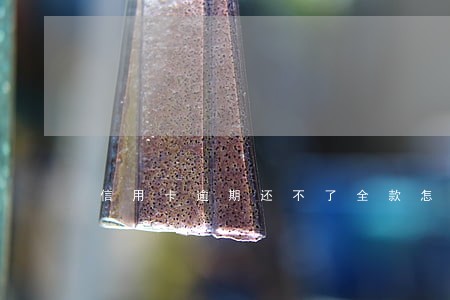 信用卡逾期还不了全款怎么办 信用卡逾期还不了全款怎么办