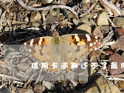 信用卡逾期还不了最低 信用卡逾期还不了最低