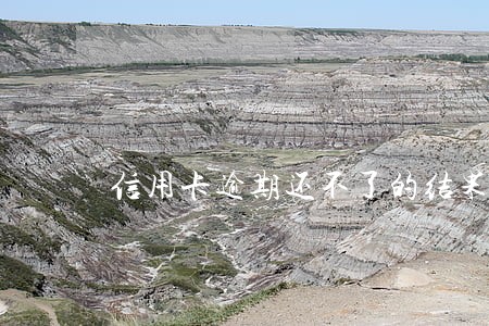信用卡逾期还不了的结果 信用卡逾期还不了的结果