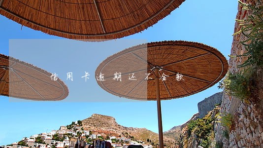 信用卡逾期还不全款