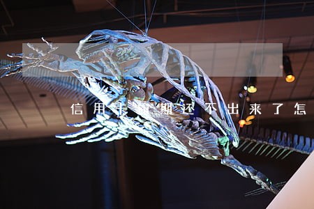 信用卡逾期还不出来了怎么办 信用卡逾期还不出来了怎么办
