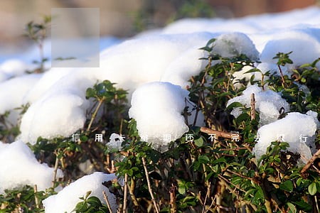 信用卡逾期还不完去银行能处理吗 信用卡逾期还不完去银行能处理吗