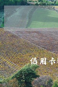 信用卡逾期还不是坐牢可以吗 信用卡逾期还不是坐牢可以吗