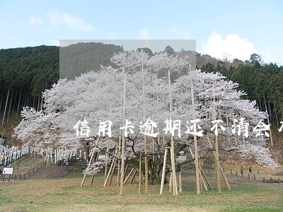 信用卡逾期还不清会有什么后果