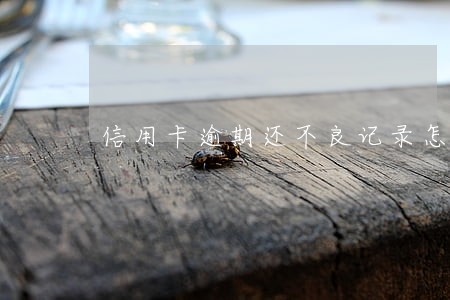 信用卡逾期还不良记录怎么办 信用卡逾期还不良记录怎么办