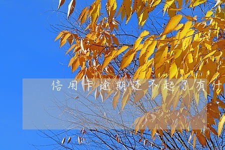信用卡逾期还不起了有什么后果 信用卡逾期还不起了有什么后果