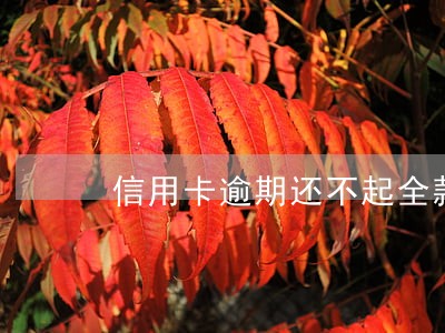 信用卡逾期还不起全款怎么办 信用卡逾期还不起全款怎么办