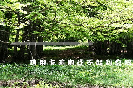 信用卡逾期还不起利息吗