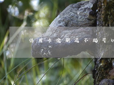 信用卡逾期还不起可以协商吗 信用卡逾期还不起可以协商吗