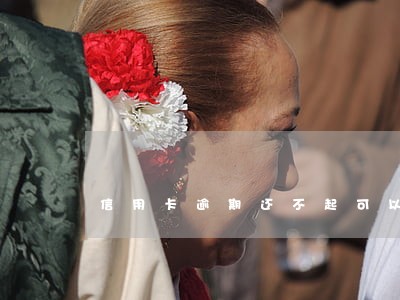 信用卡逾期还不起可以立案吗 信用卡逾期还不起可以立案吗