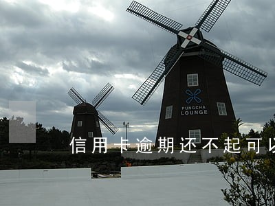 信用卡逾期还不起可以自首吗 信用卡逾期还不起可以自首吗