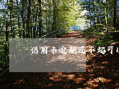 信用卡逾期还不起可以还本金吗 信用卡逾期还不起可以还本金吗