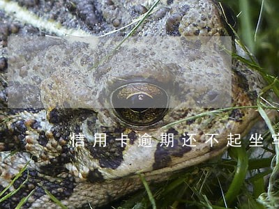 信用卡逾期还不起坐牢吗
