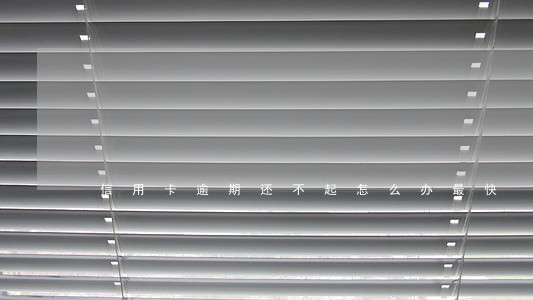 信用卡逾期还不起怎么办最快 信用卡逾期还不起怎么办最快