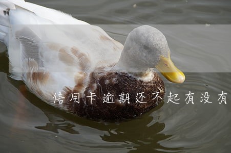 信用卡逾期还不起有没有影响 信用卡逾期还不起有没有影响