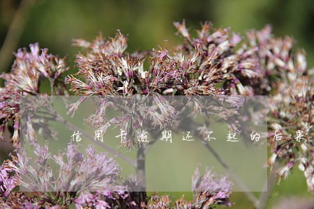信用卡逾期还不起的后果 信用卡逾期还不起的后果