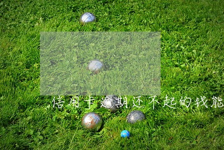 信用卡逾期还不起的钱能要回吗 信用卡逾期还不起的钱能要回吗