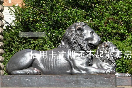 信用卡逾期还不起能卖房吗