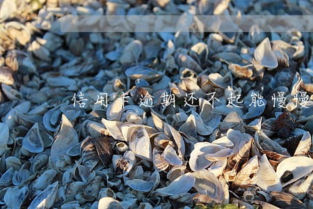 信用卡逾期还不起能慢慢还吗
