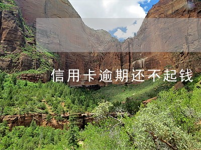 信用卡逾期还不起钱