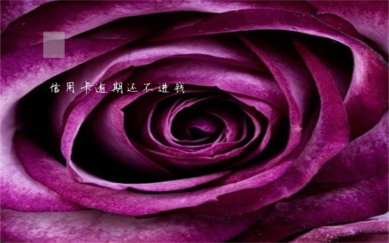 信用卡逾期还不进钱 信用卡逾期还不进钱