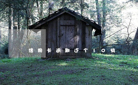 信用卡逾期还个10快 信用卡逾期还个10快